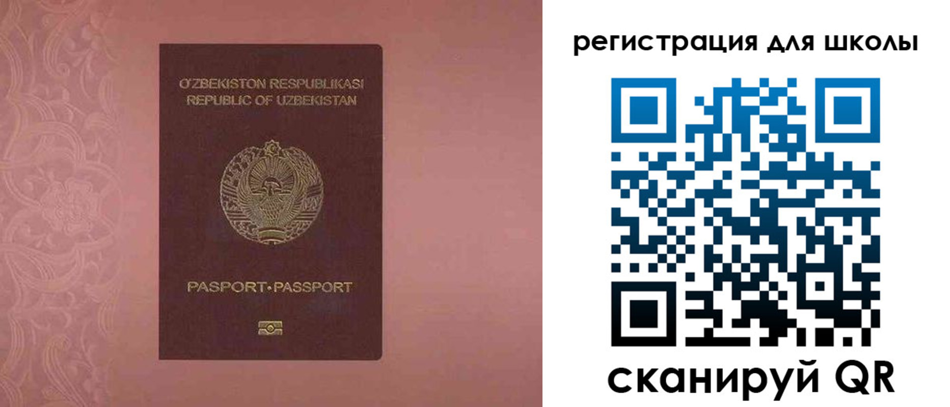 прописка для школы в Светлом