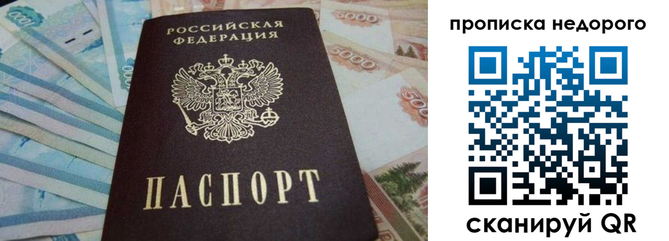 временная регистрация поиск в Светлом