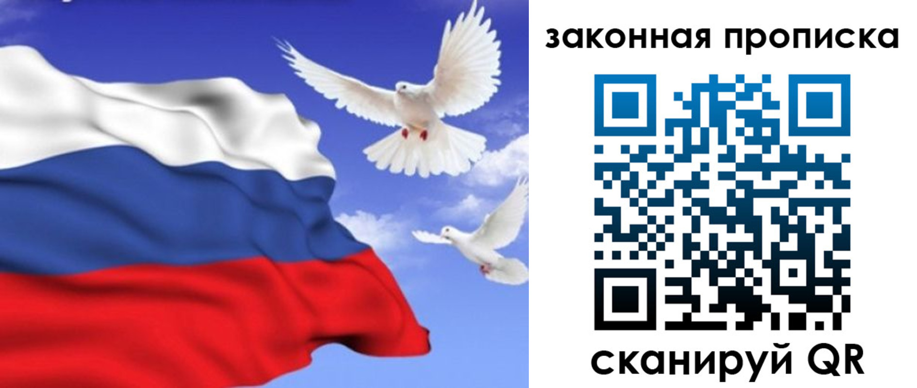 регистрация в Светлом